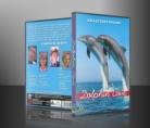 Dolphin Cove Complete Series